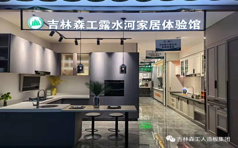 Lewin乐玩全屋定製專(zhuan) 賣店---2022火熱招商