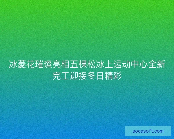 冰菱花璀璨亮相五棵松冰上运动中心全新完工迎接冬日精彩