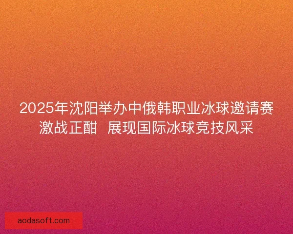 2025年沈阳举办中俄韩职业冰球邀请赛激战正酣  展现国际冰球竞技风采